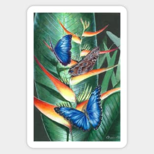 heliconia and morphos Sticker